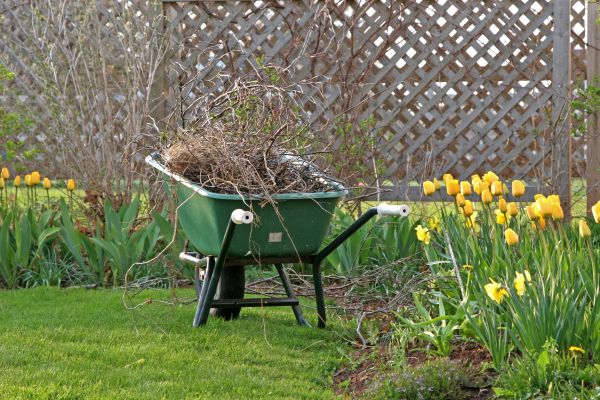 Flower Bed Cleanup Service in Torrance