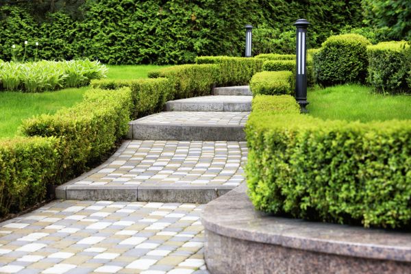 Backyard Remodeling in Torrance