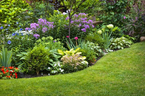 Flower Bed Service in Torrance