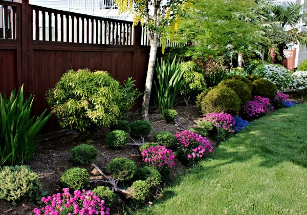Garden Care Service in Torrance