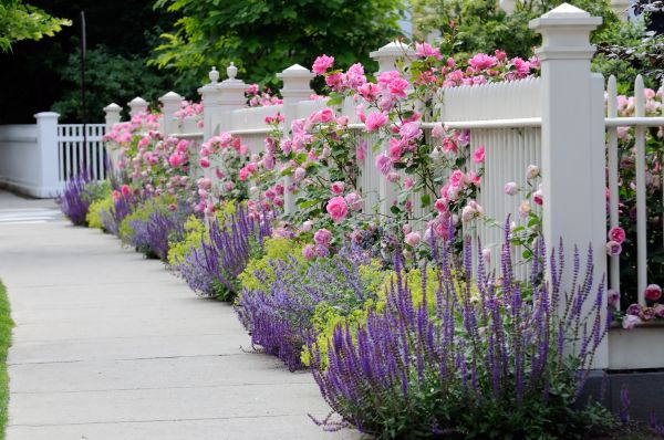 Garden Handyman Service in Torrance