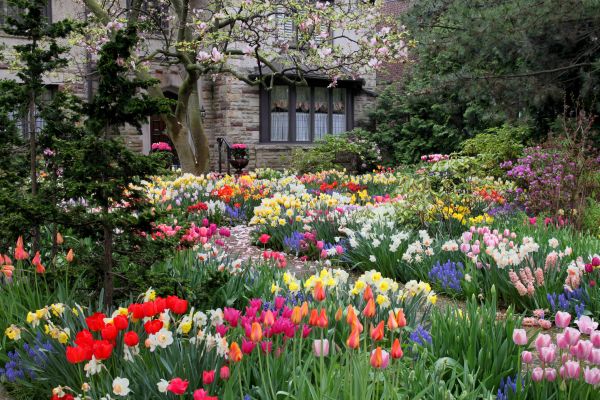 Garden Maintenance Service in Torrance