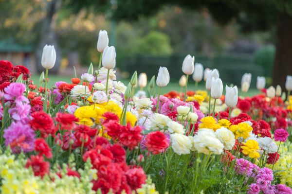 Gardening Service in Torrance