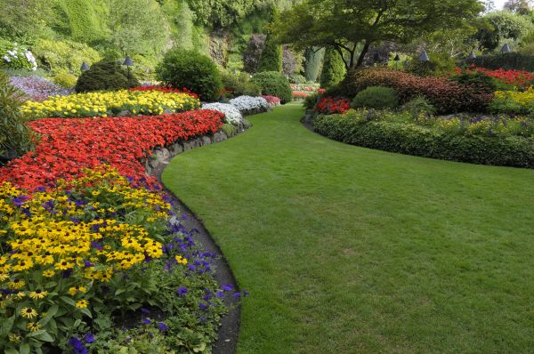 Landscaping Maintenance in Torrance