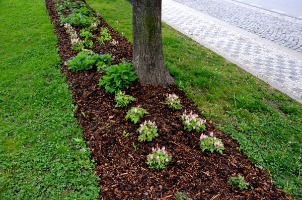 Mulch Replacement Service in Torrance