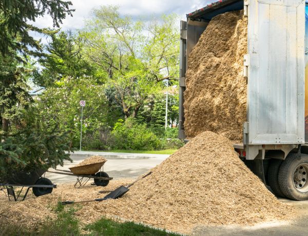 Wood Chips Delivery in Torrance