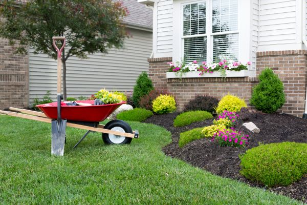 Landscape Maintenance Service in Torrance