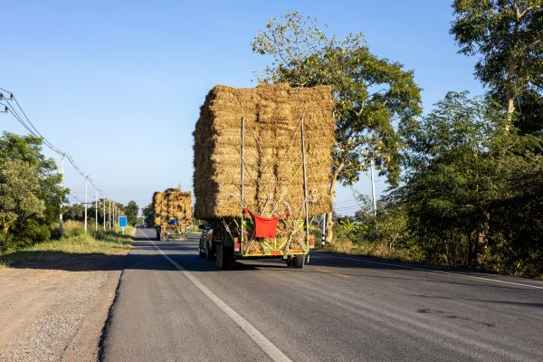 Pine Straw Delivery in Torrance