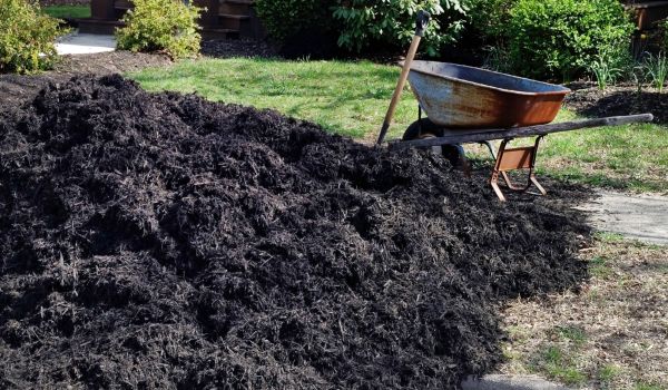 Black Mulch Delivery in Torrance