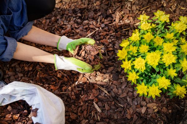 Garden Mulching in Torrance