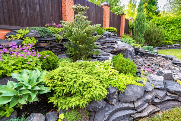 Landscape Remodeling in Torrance