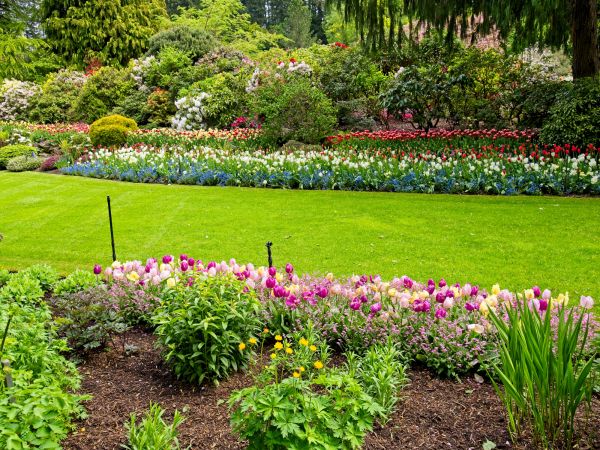 Residential Landscape Design in Torrance
