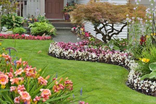 Perennial Landscaping in Torrance