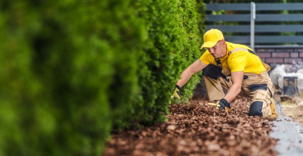 Cypress Mulch Installation in Torrance