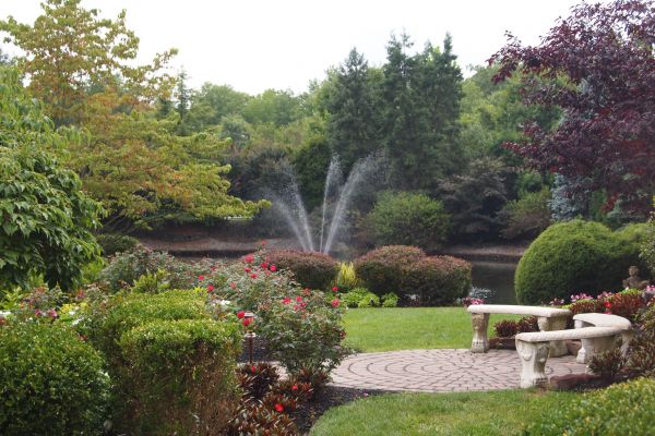 Courtyard Design Service in Torrance