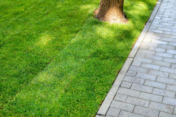 Border Stone Installation in Torrance
