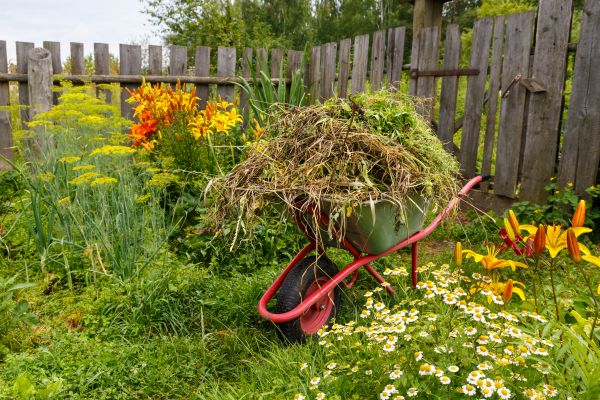 Garden Cleanup Service in Torrance