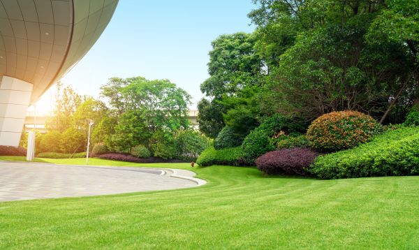 Business Landscape Design in Torrance