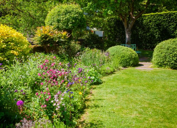 Yard Landscaping Service in Torrance