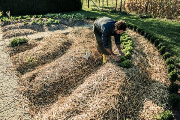 Straw Mulching Service in Torrance