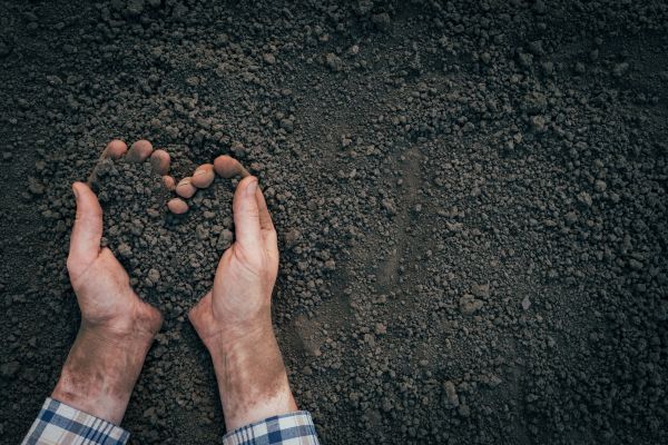 Soil Installation in Torrance