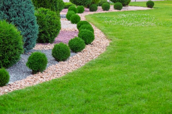 Edging Stones Installation in Torrance