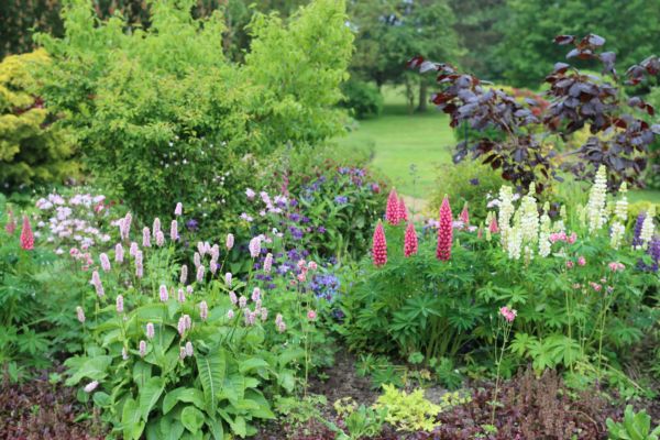 Flower Bed Planting in Torrance
