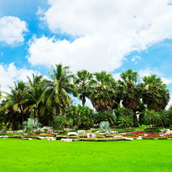 Tropical Landscaping in Torrance