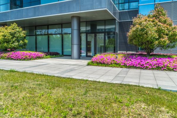 Commercial Gardening in Torrance