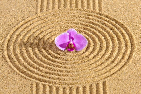 Sand Garden Landscaping in Torrance
