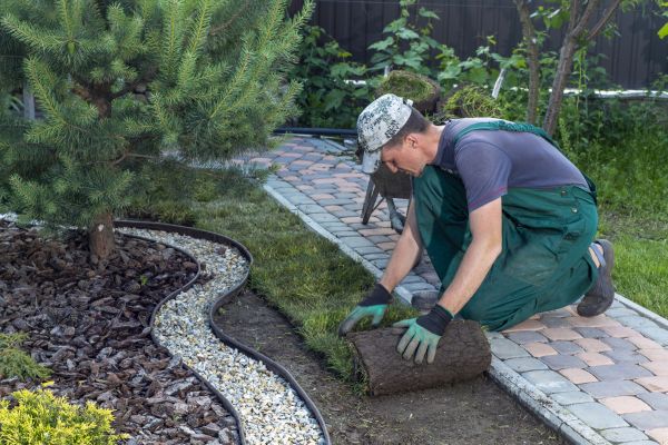 Landscaping Modification in Torrance