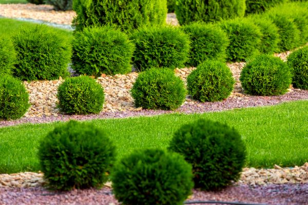 Bush Installation in Torrance