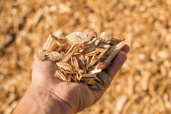 Wood Chips Spreading in Torrance