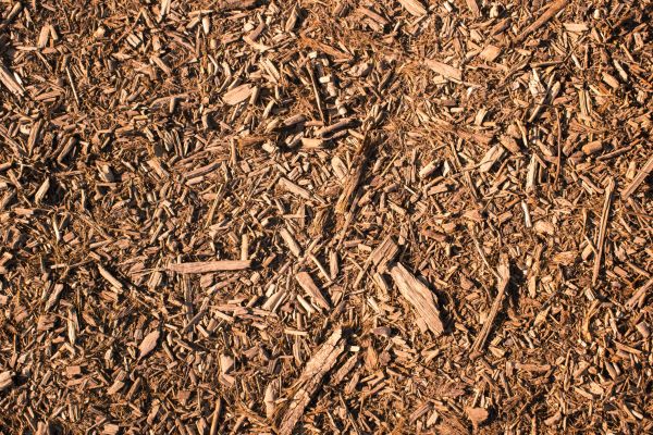 Wood Chips Removal in Torrance