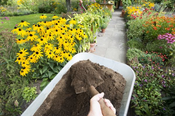 Topsoil Replacement in Torrance