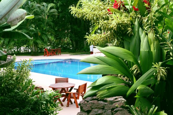 Pool Area Landscaping in Torrance