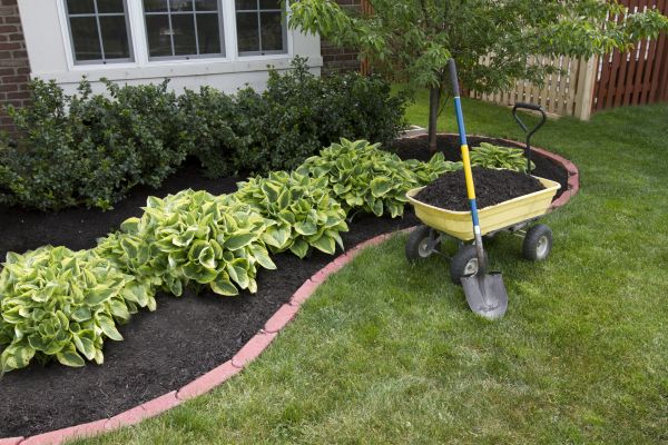 Landscape Mulching in Torrance