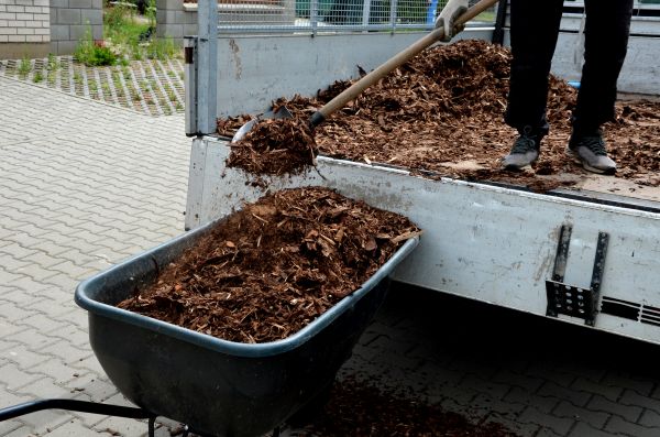 Playground Mulch Delivery in Torrance