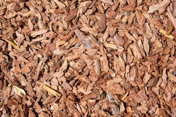 Pine Mulch Spreading in Torrance