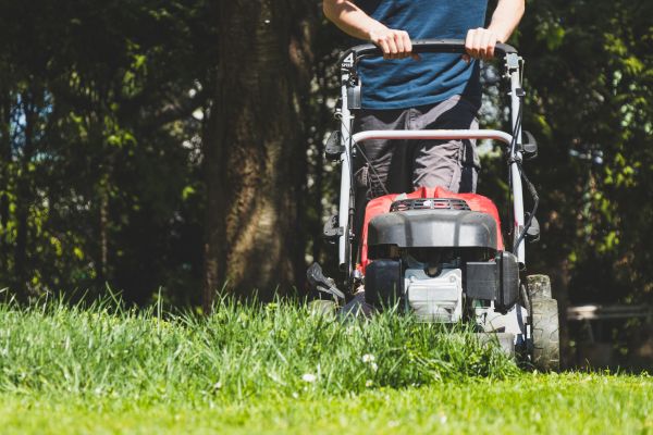 Garden Trimming Service in Torrance