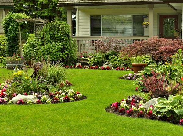 Flower Garden Planting in Torrance