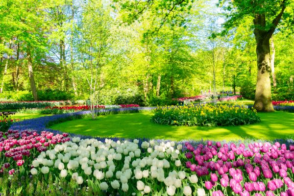 Flower Landscaping in Torrance