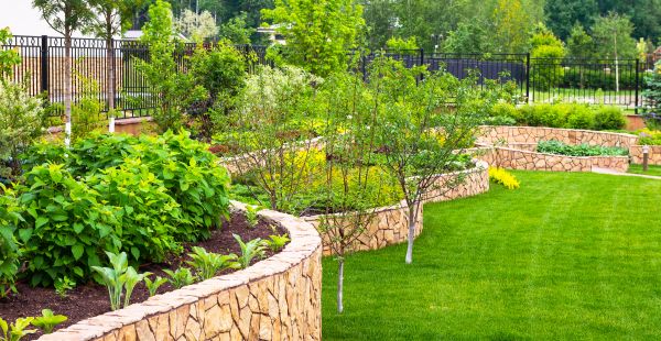 Yard Makeover Service in Torrance