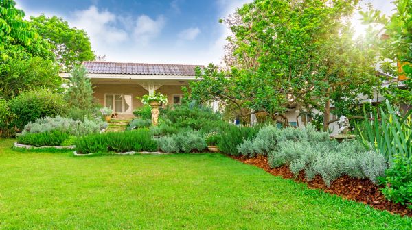 Greenery Planting in Torrance