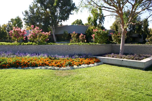 Commercial Landscape Service in Torrance
