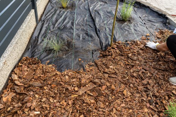 Pine Bark Spreading in Torrance