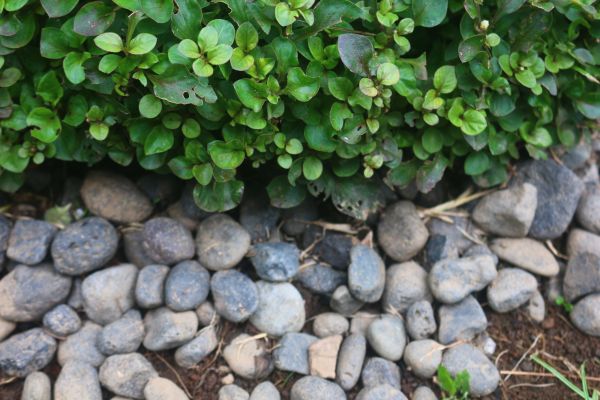 River Stone Installation in Torrance