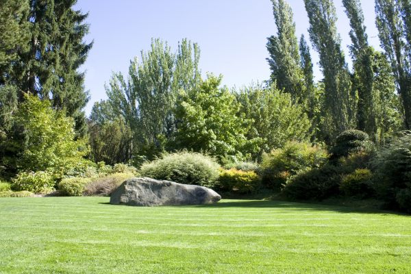Yard Enlargement in Torrance