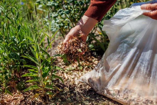 Wood Mulch Installation in Torrance