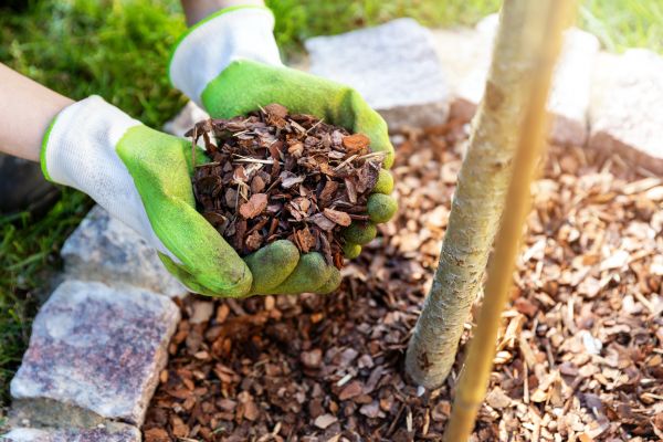 Tree Bark Delivery in Torrance